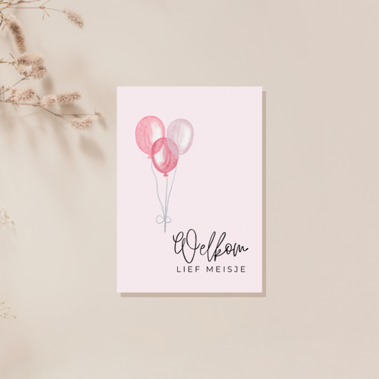 14202402241936500013