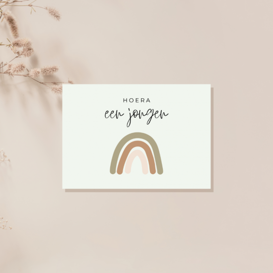 18202402241936500017