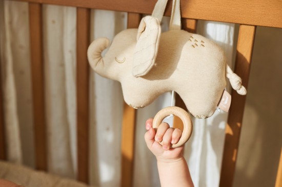 Jollein 2025 20268717329401181