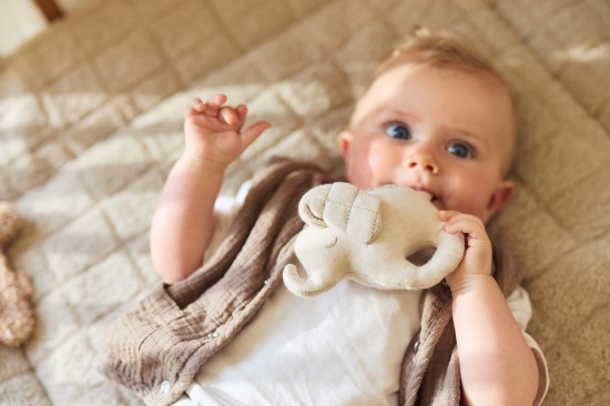 Jollein 2025 20268717329401204871732940117487173293996178717329399600