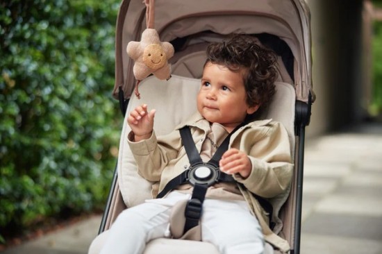 Jolleinss2223ii1512 0